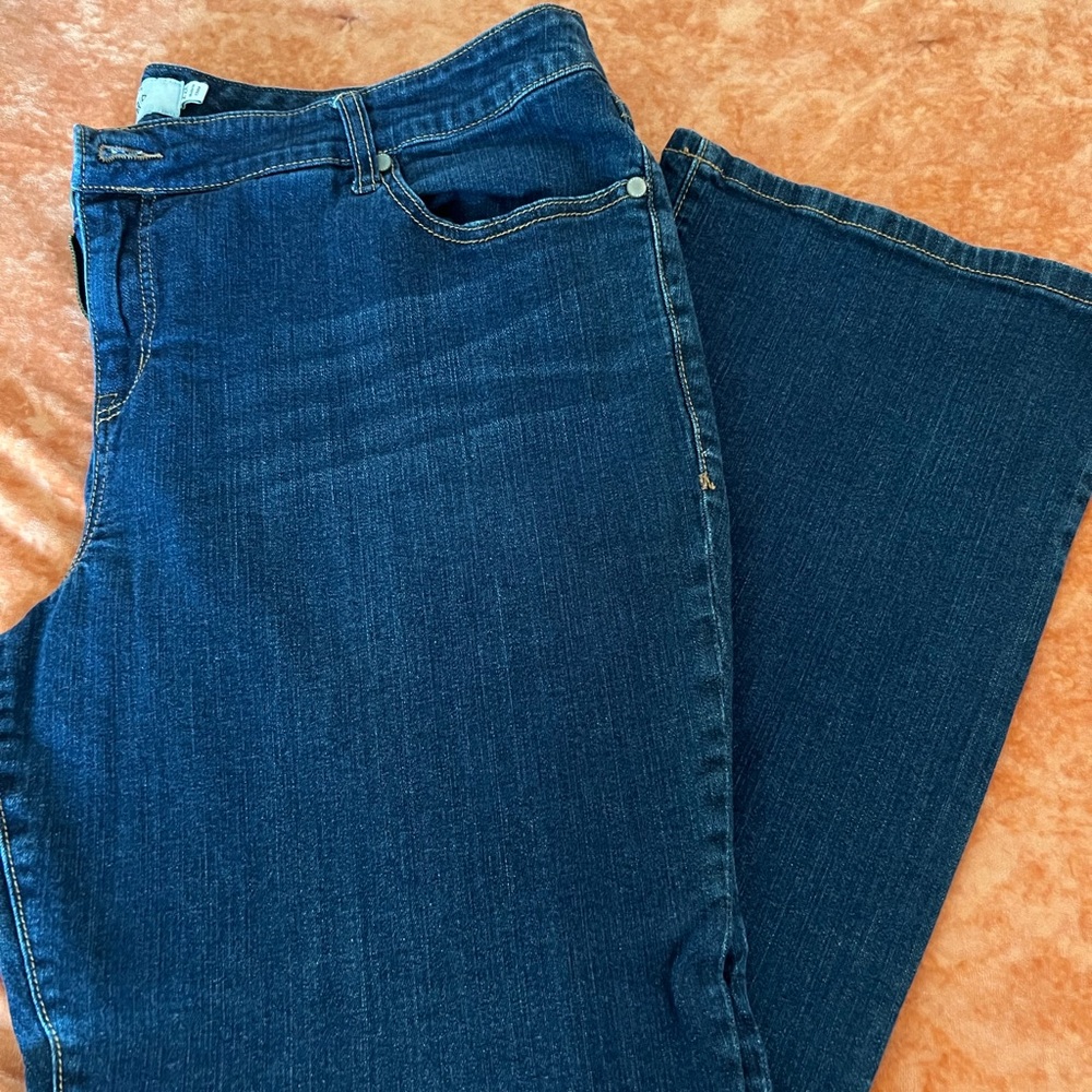 Torrid Jeans